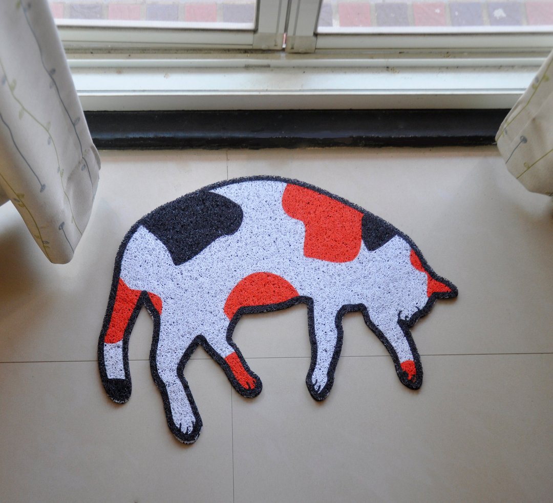 午后的懒猫 猫砂垫 脚踏垫 - 其他家具 - 尼龙 多色