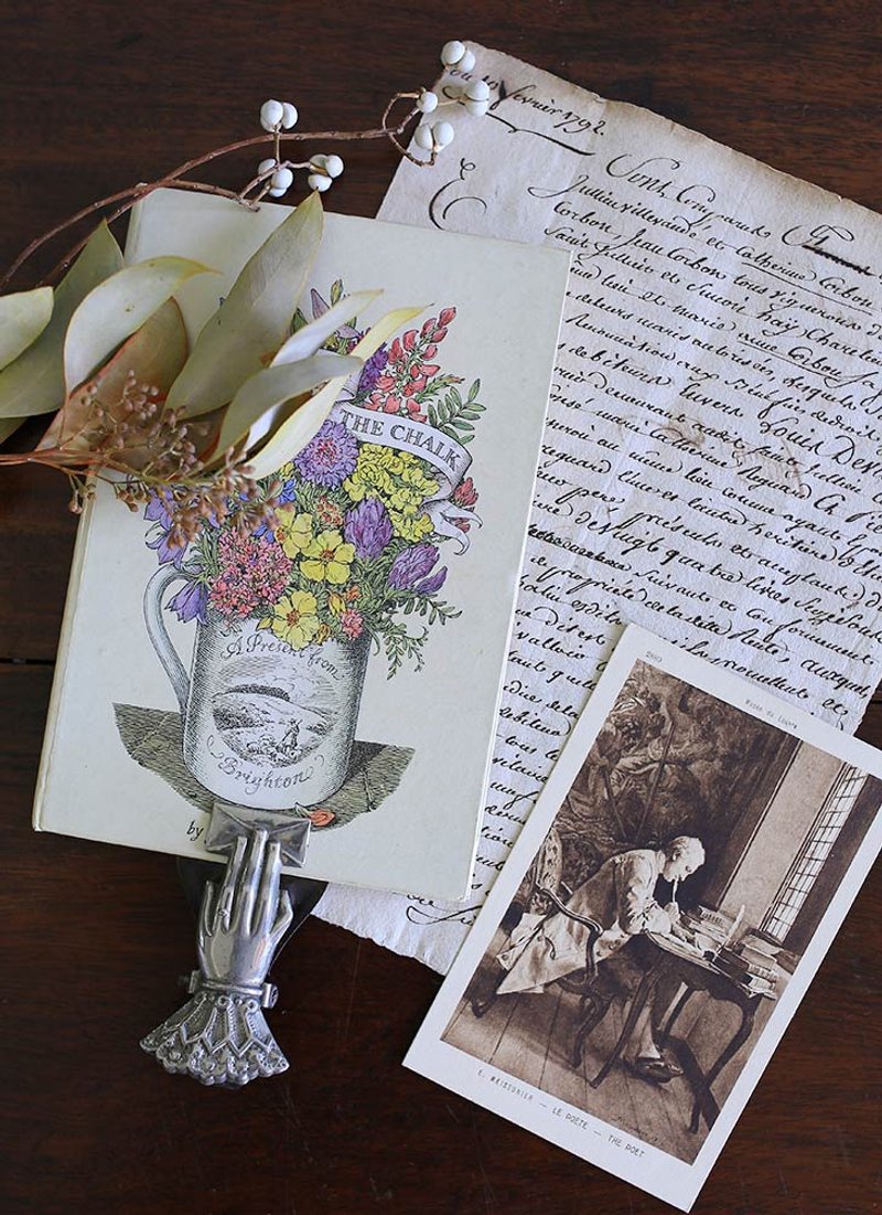 1947s 英国 Wild Flowers 复古老书 植物 插画 - 刊物/书籍 - 纸 