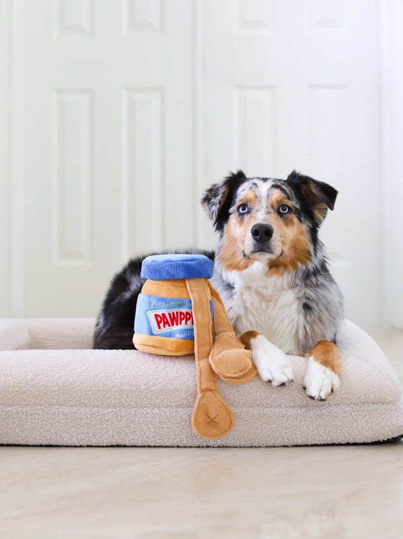 【狗玩具】 CHEWFFON 香浓花生 - 玩具 - 其他材质 