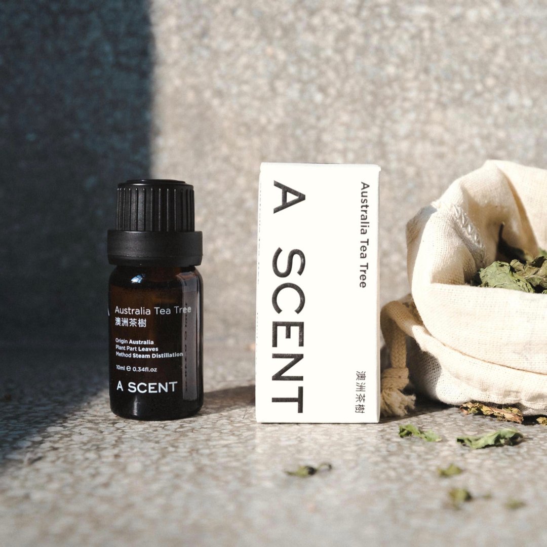 ascentorganics-澳洲茶树精油 10ml (送你小房子扩香石) - 香薰/精油/线香 - 其他材质 
