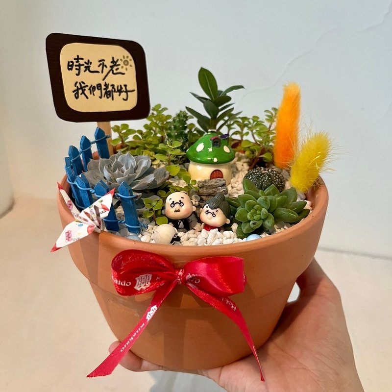 多肉组盆 多肉植物 枯山水 微景观 景观盆栽 生日礼物 定制化订单 - 植栽/盆栽 - 植物．花 绿色