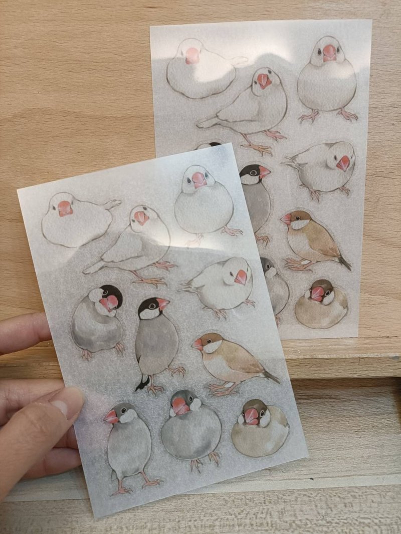 转印贴纸(小雪球/文鸟)二入一组 - 贴纸 - 纸 多色