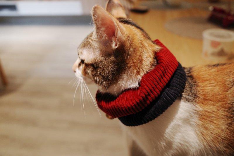 Jazz Night / 双色拼接脖围 宠物脖围 / VIIX 小眉毛工作室 - 衣/帽 - 棉．麻 