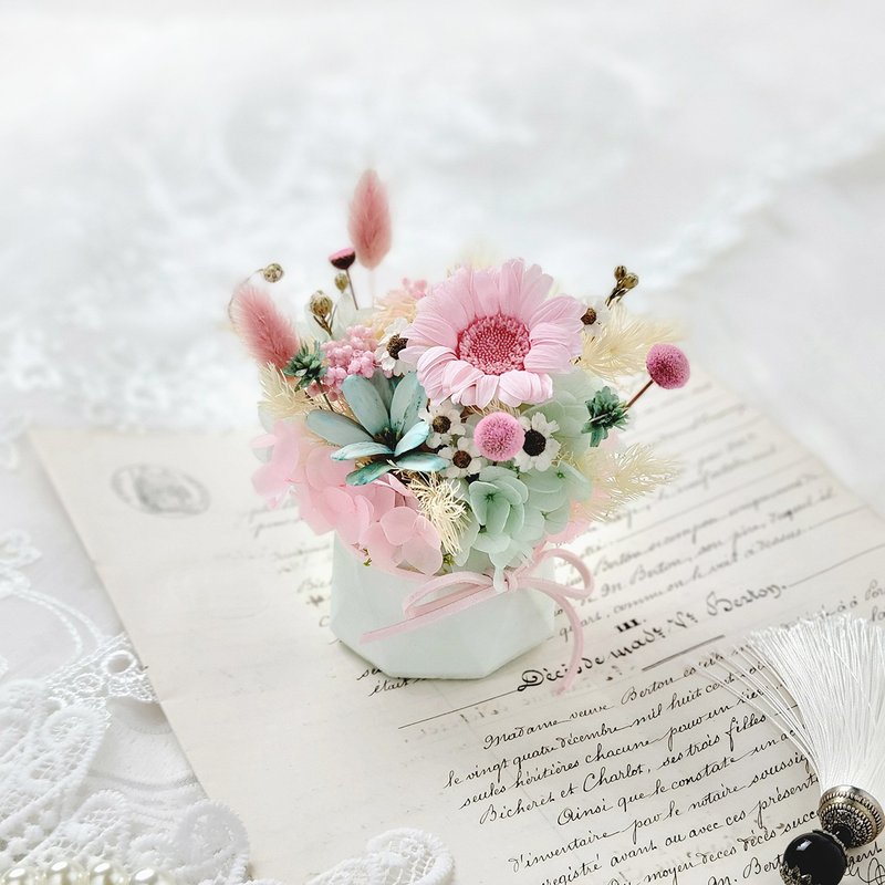 不凋永生扩香小盆花-粉红小太阳绿粉色系 圣诞礼物 - 干燥花/捧花 - 植物．花 粉红色