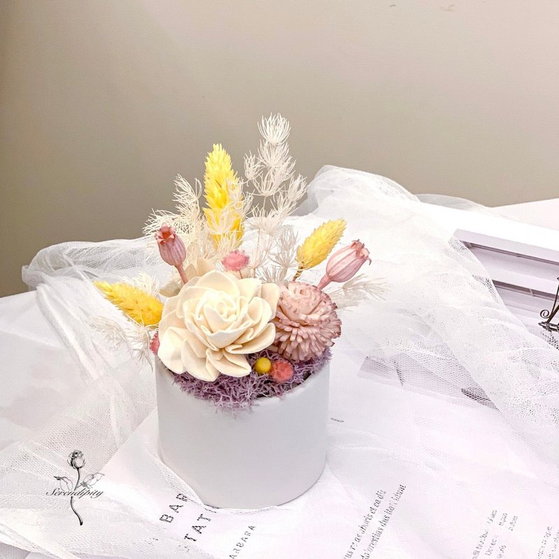 漫心扩香花小桌花 - 干燥花/捧花 - 植物．花 