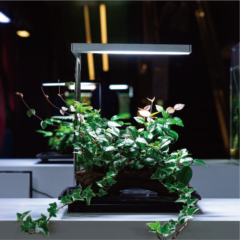 Flat Nano 全光谱LED植物灯 极简银 室内植物 办公室 植栽 - 植栽/盆栽 - 其他金属 灰色