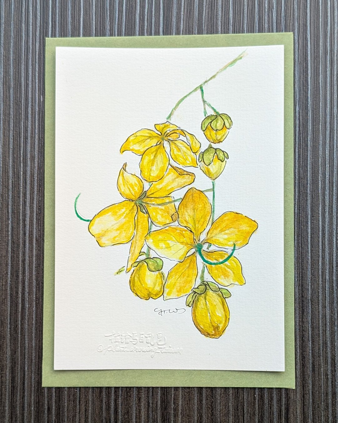 定制画 / 亲笔手绘花草 主题自选/ 明信片信封套组 - 订制画像 - 纸 