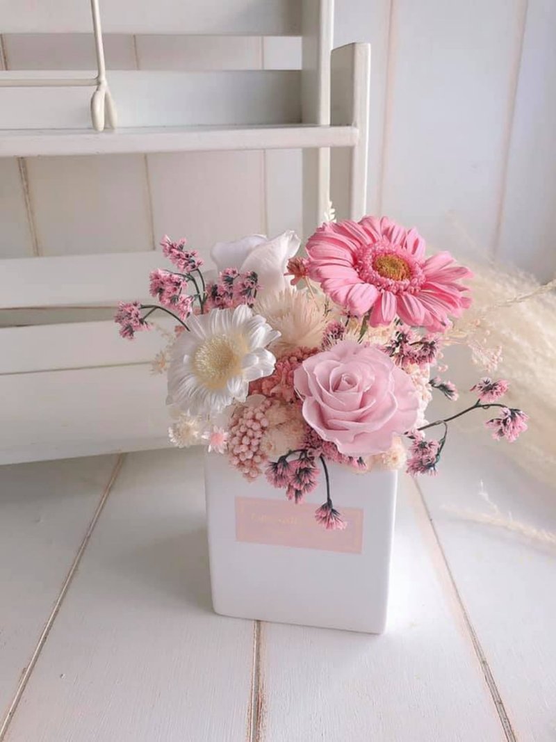 永生桃粉向日葵盆花/开幕礼物/生日礼物/情人节礼物 - 干燥花/捧花 - 植物．花 