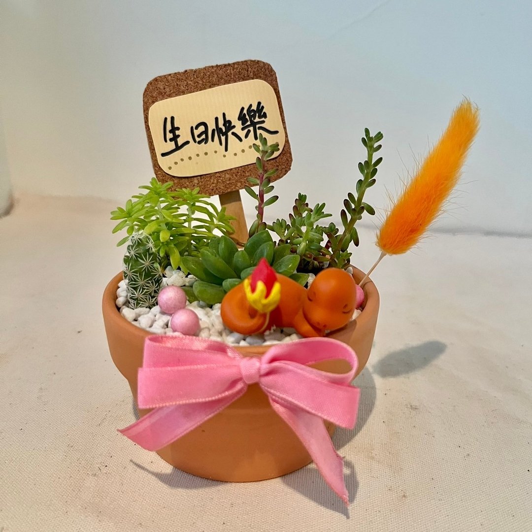 小火龙 宝可梦 生日送礼 开幕送礼 多肉组盆 多肉植物 创意盆栽 - 植栽/盆栽 - 植物．花 绿色