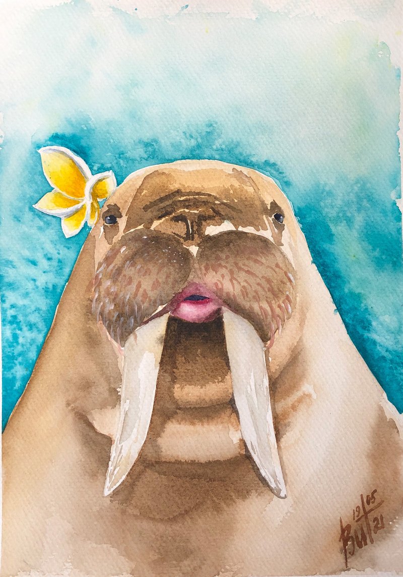 Walrus Painting Animal Original Art Watercolor Artwork Arctic Wall Art - 海报/装饰画/版画 - 纸 蓝色