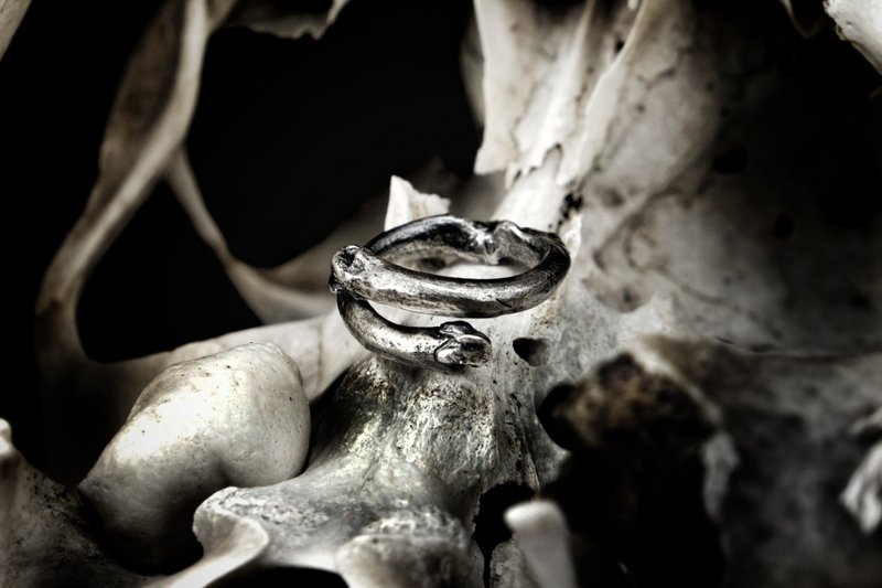 【山骸纪】遗留的记忆III—猫指骨开口戒 - 戒指 - 银 银色