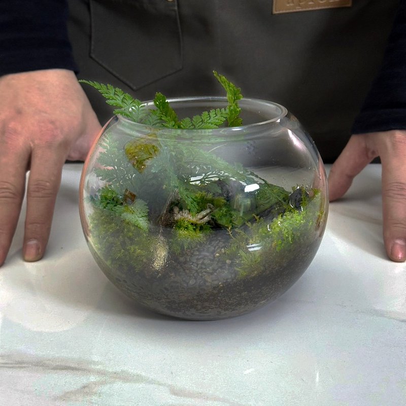 丛林天堂 / 手工定制化微景观生态盆 - 植栽/盆栽 - 植物．花 