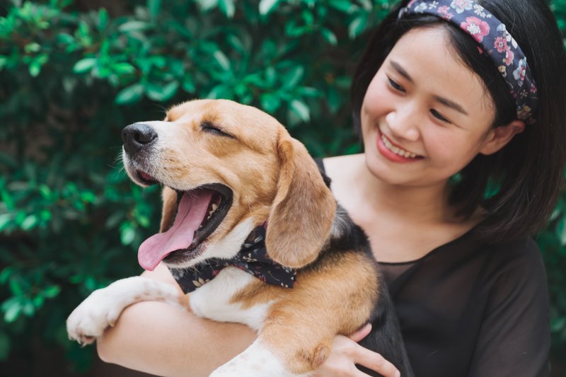FLORAL BANDANAS - 丝巾 - 棉．麻 多色
