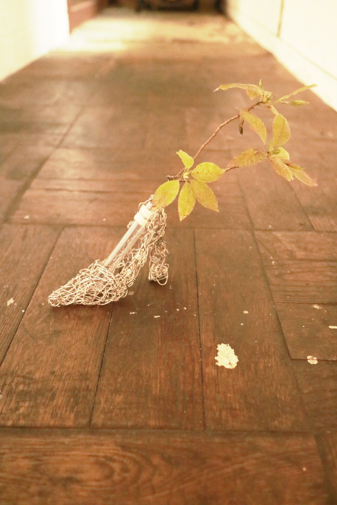 Baum wire flower vase high heels - 植栽/盆栽 - 其他金属 银色