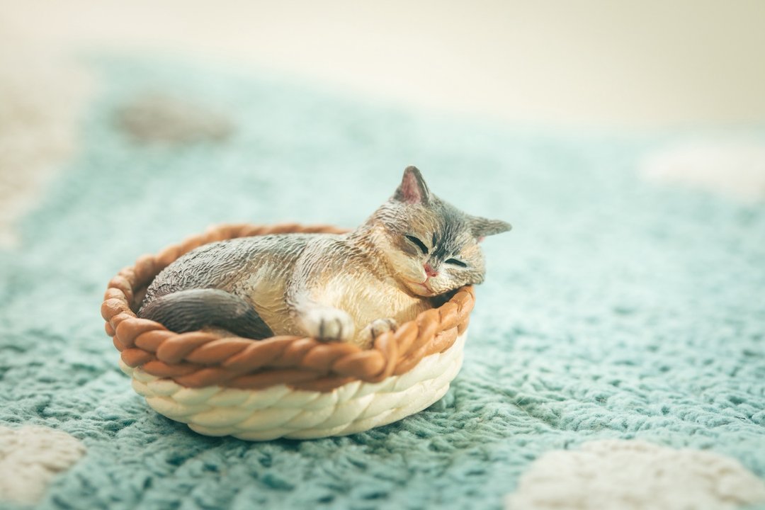 猫咪 定制化宠物手工黏土模型 含配件 - 玩偶/公仔 - 粘土 灰色