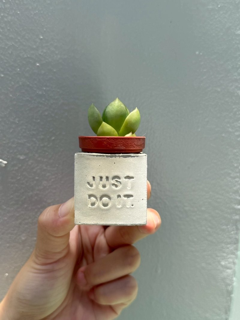 Just do it。做就对了。多肉磁铁盆栽 - 植栽/盆栽 - 水泥 灰色