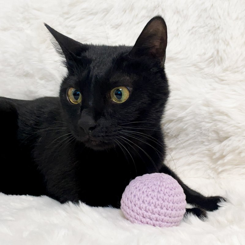 彩色编织小球球/猫草包/猫玩具/多色可选1 - 玩具 - 棉．麻 