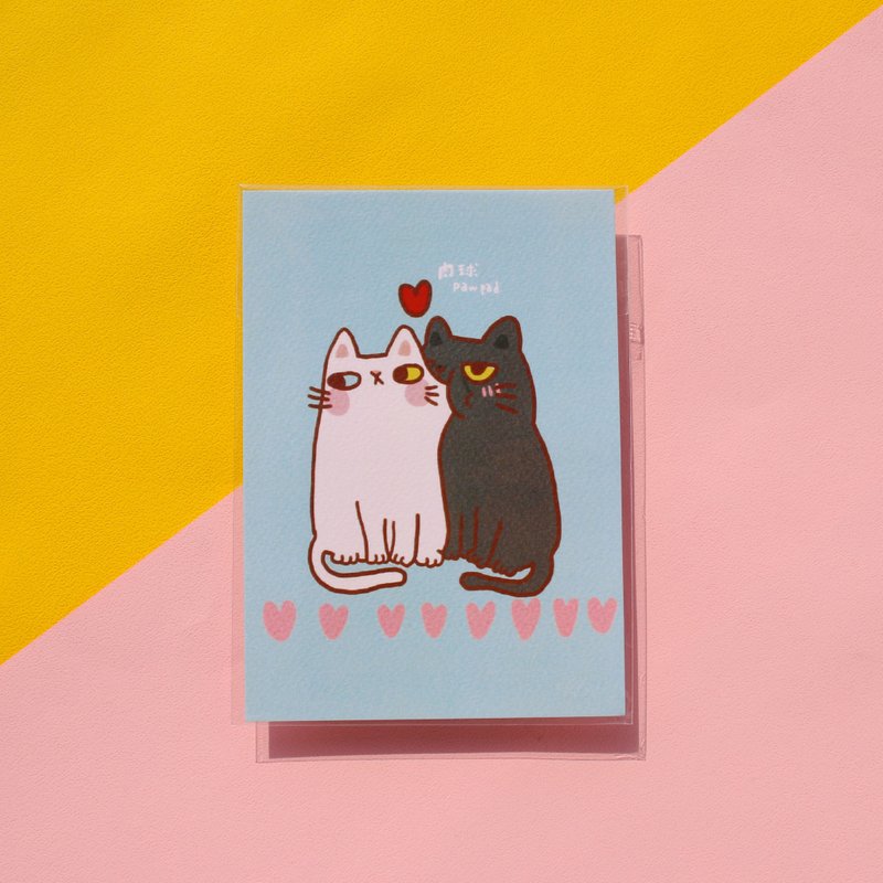 肉球/亲亲猫猫/明信片/异色瞳白猫 - 卡片/明信片 - 纸 多色
