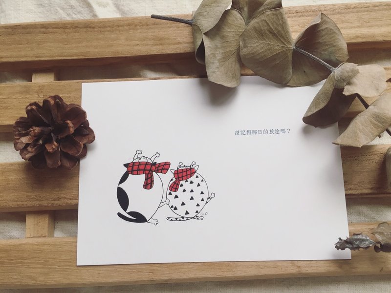 还记得那日的旅途？ - 卡片/明信片 - 纸 白色