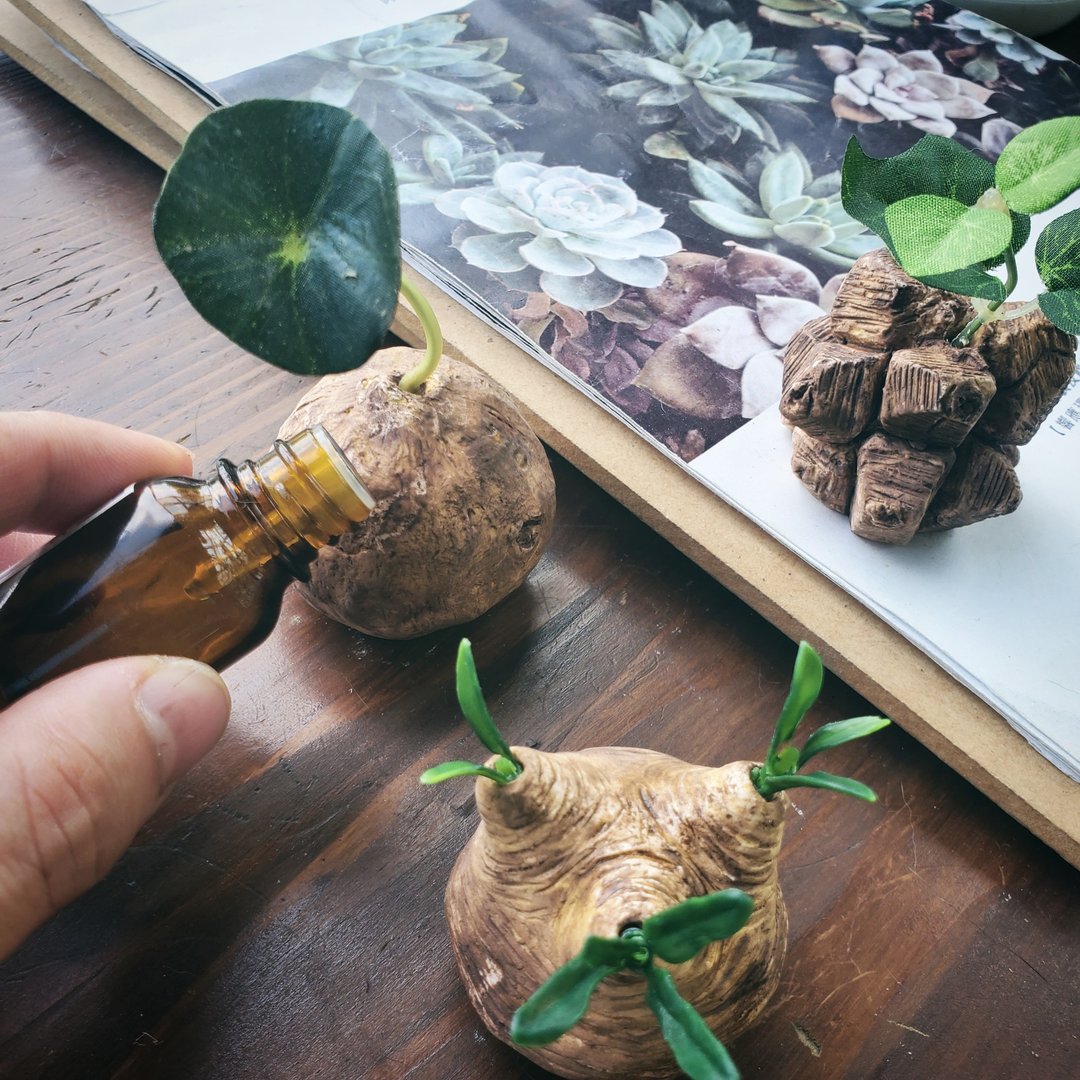 Caudex Aromastone- 块根植物扩香石 - 香薰/精油/线香 - 其他材质 绿色