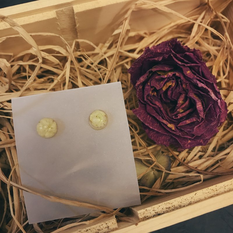真花饰品。. *满天星半球体密封式耳针。. * 回收花人手制作 - 耳环/耳夹 - 植物．花 白色