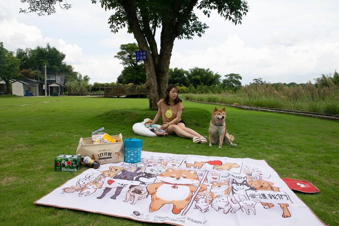 柴犬大学-柴老大爱护动物野餐垫 沙摊垫 加厚防水 柴犬周边 - 野餐垫 - 防水材质 