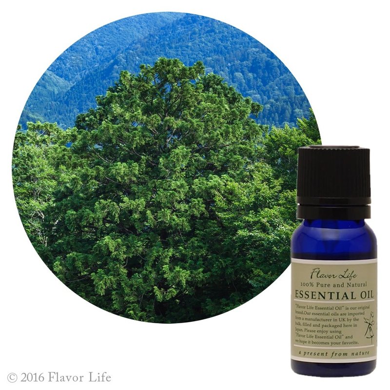 和精油【青森明日桧】Thujopsis dolabrata (Hiba) - 香薰/精油/线香 - 精油 绿色