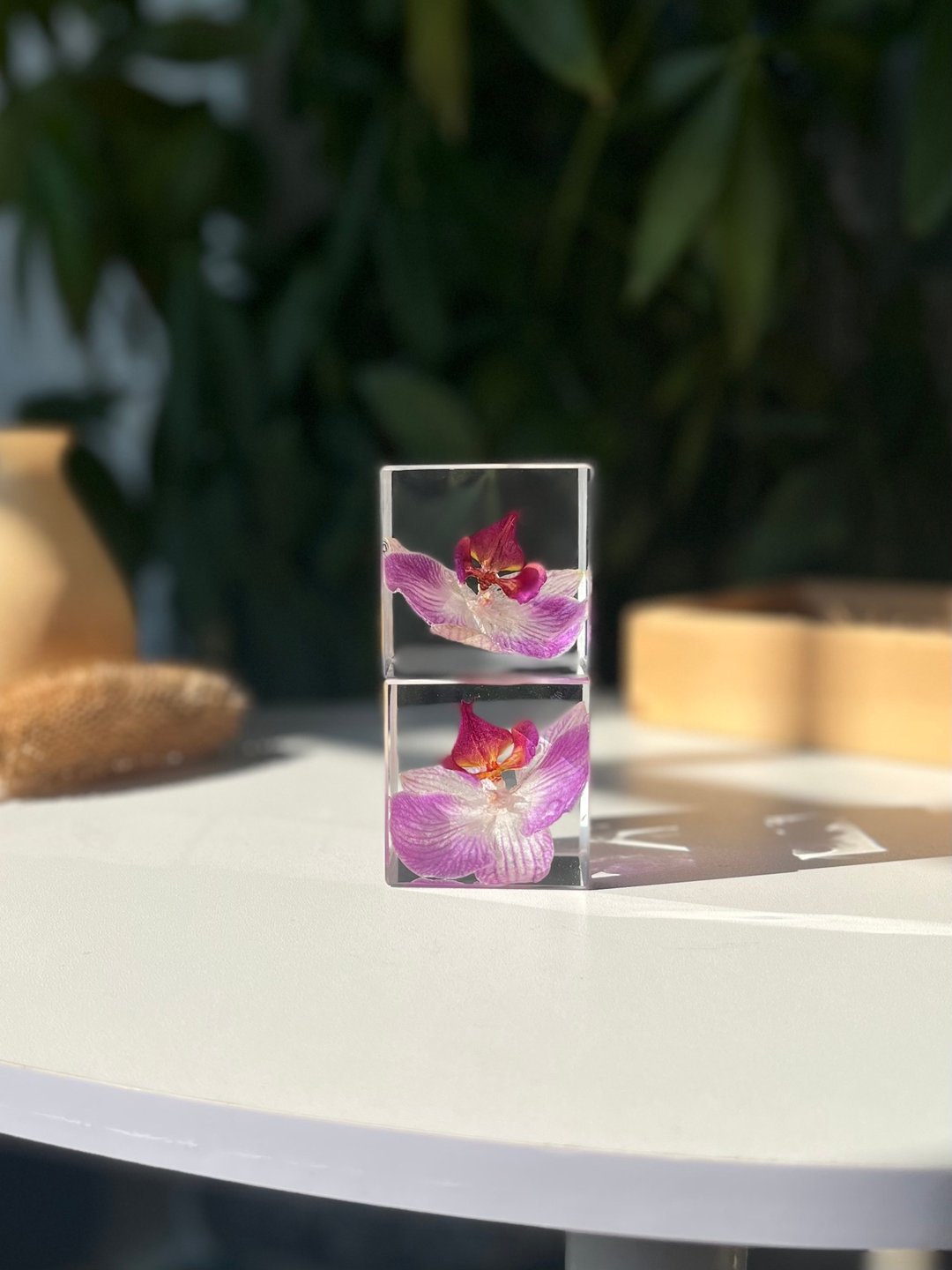 幸福向你飛来-蝴蝶蘭水晶立方/植物標本礼品 - 摆饰 - 树脂 粉红色