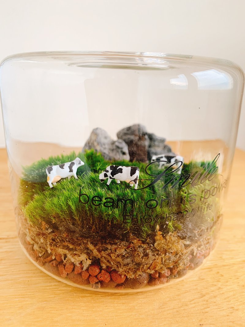 纯自然 瓶中之草原动物 只剩乳牛  微景观 animal micro land - 植栽/盆栽 - 植物．花 绿色