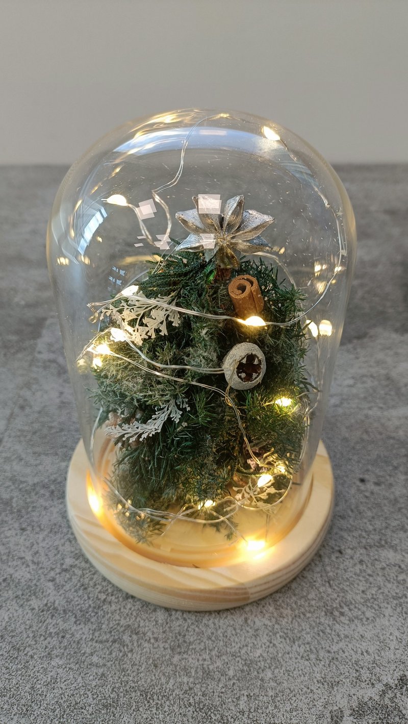 教学影片区 圣诞节圣诞布置 永生雪松圣诞树玻璃盅罩 花材另购 - 线上课程/教学影片 - 其他材质 