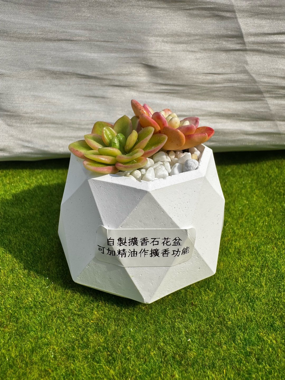 扩香石花盆多肉植物 - 摆饰 - 粘土 