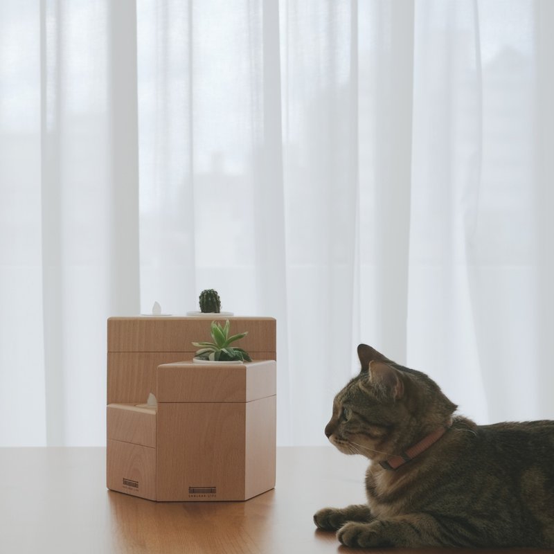 【宠物身后事项目】宠物骨灰盒+火化服务 | 下单前请先询问 - 其他 - 木头 