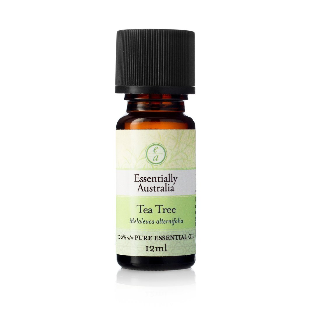 【防疫精油】澳洲茶树精油 Tea Tree - 香薰/精油/线香 - 精油 绿色