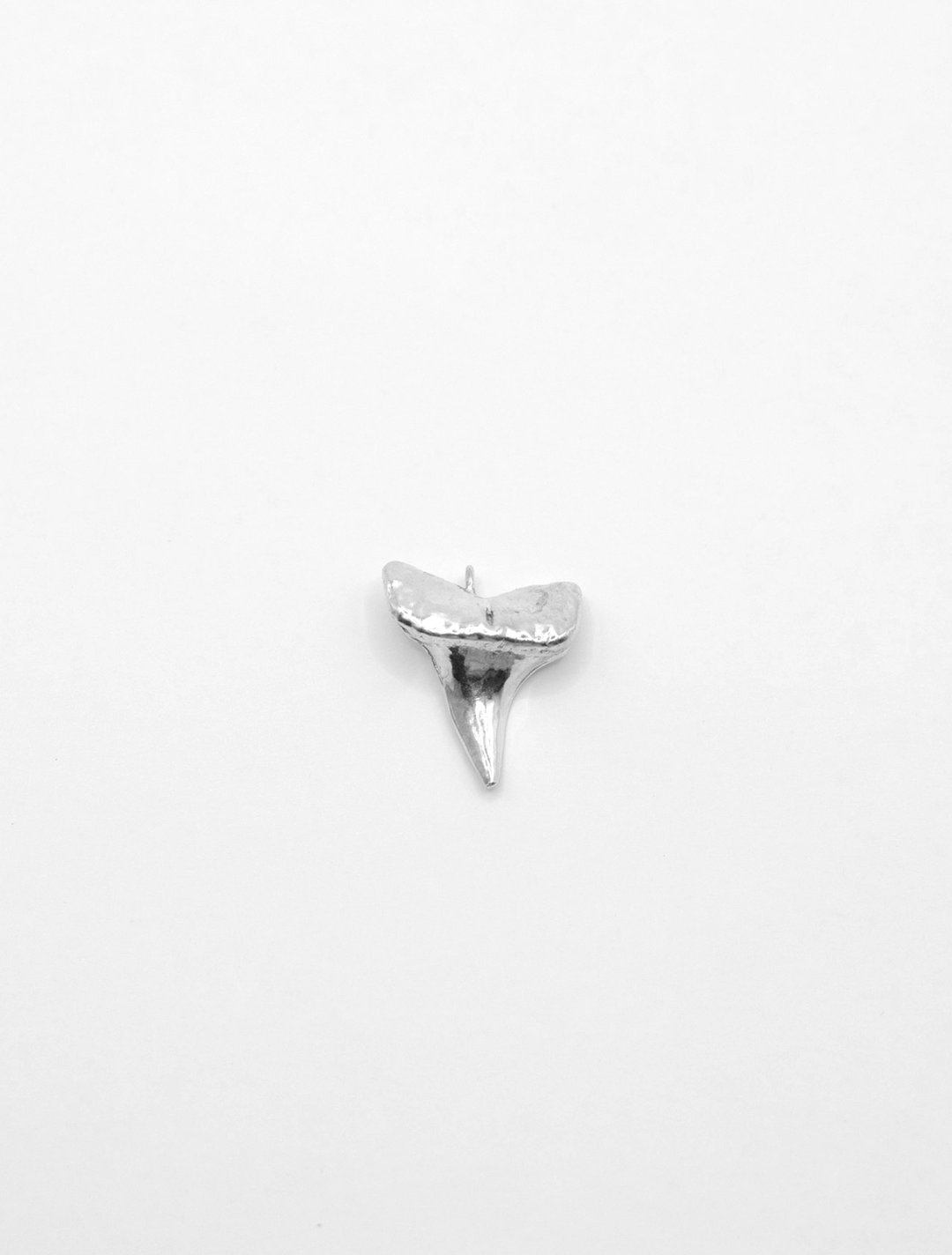 Shark Tooth 鲨鱼牙 / 坠饰 ( 925 纯银 ) - 项链 - 纯银 银色