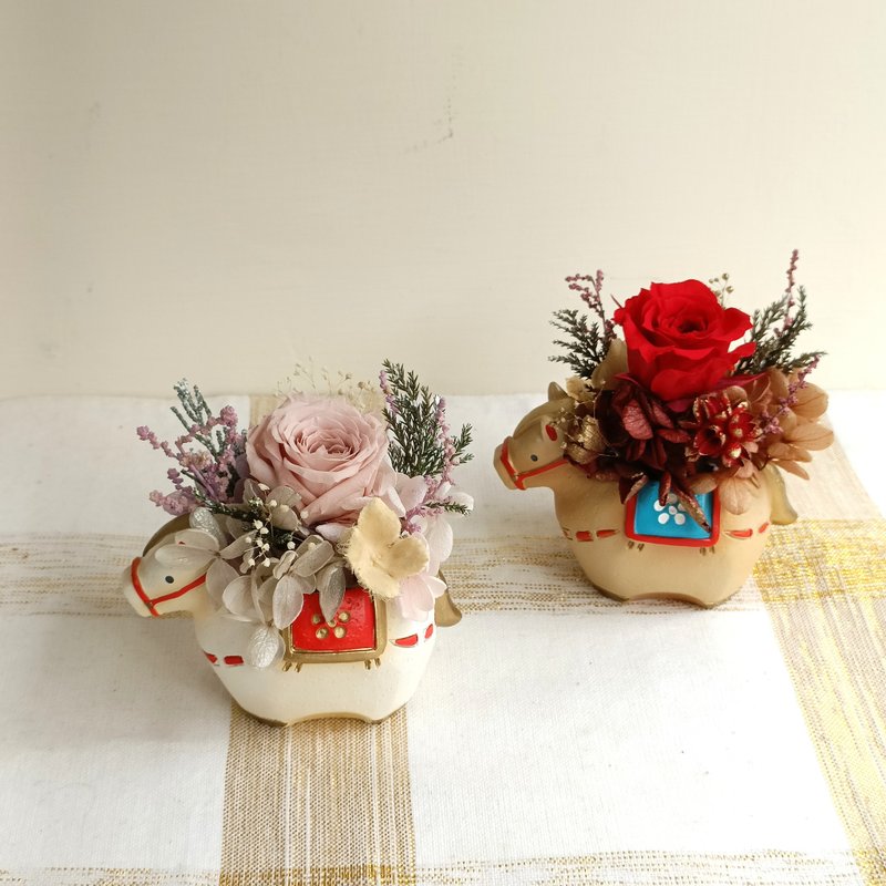 马上有钱开运盆花  马年春节礼盒情人节花束生日开幕财运GD小雏菊 - 干燥花/捧花 - 植物．花 多色