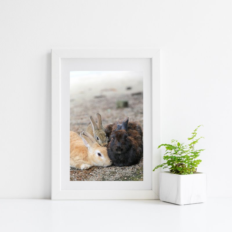 兔子摄影艺术微喷作品 - 全家福 - 海报/装饰画/版画 - 纸 卡其色