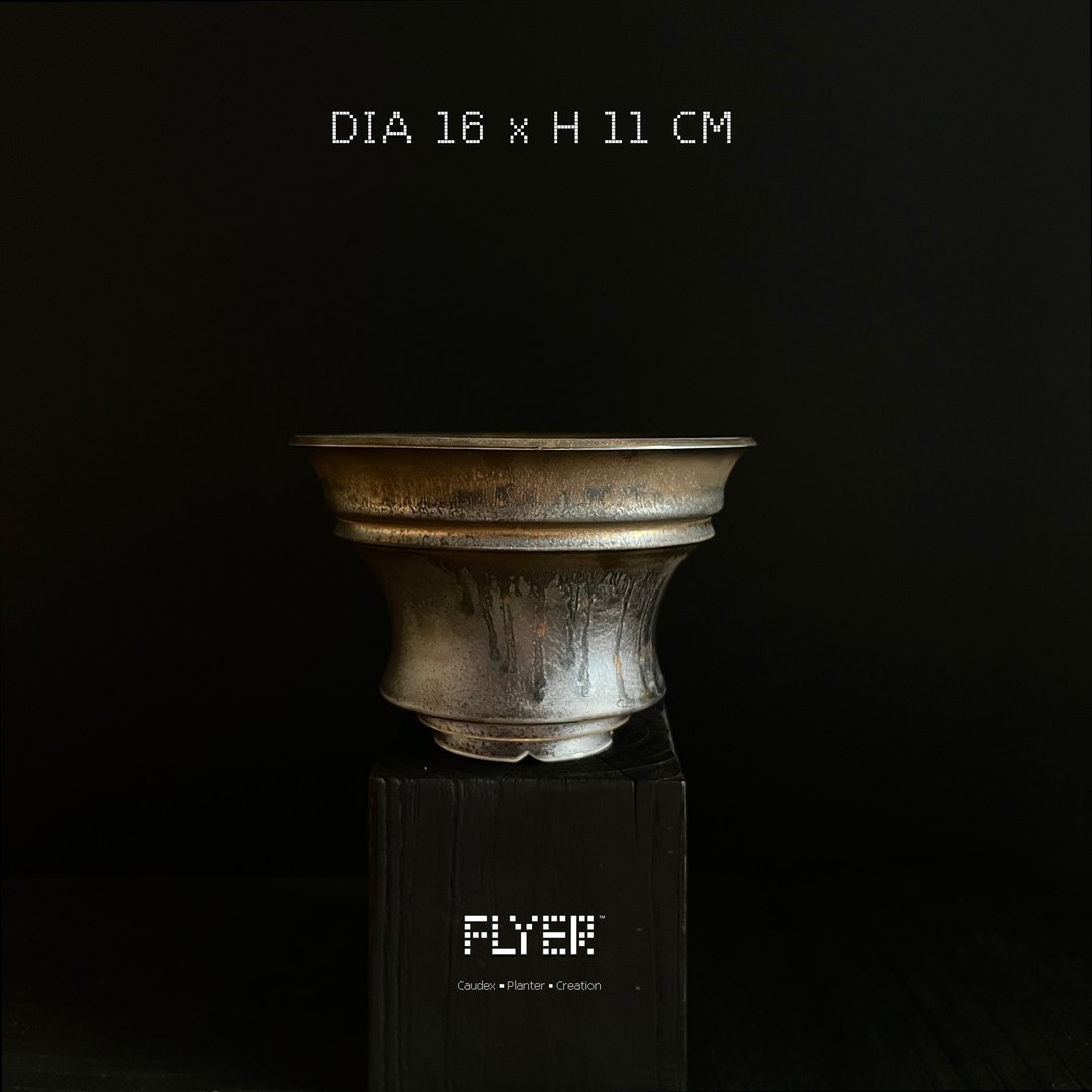 FLYER 块根多肉植物陶盆器 龙舌兰象牙宫象足漆树盆器 - 花瓶/陶器 - 陶 