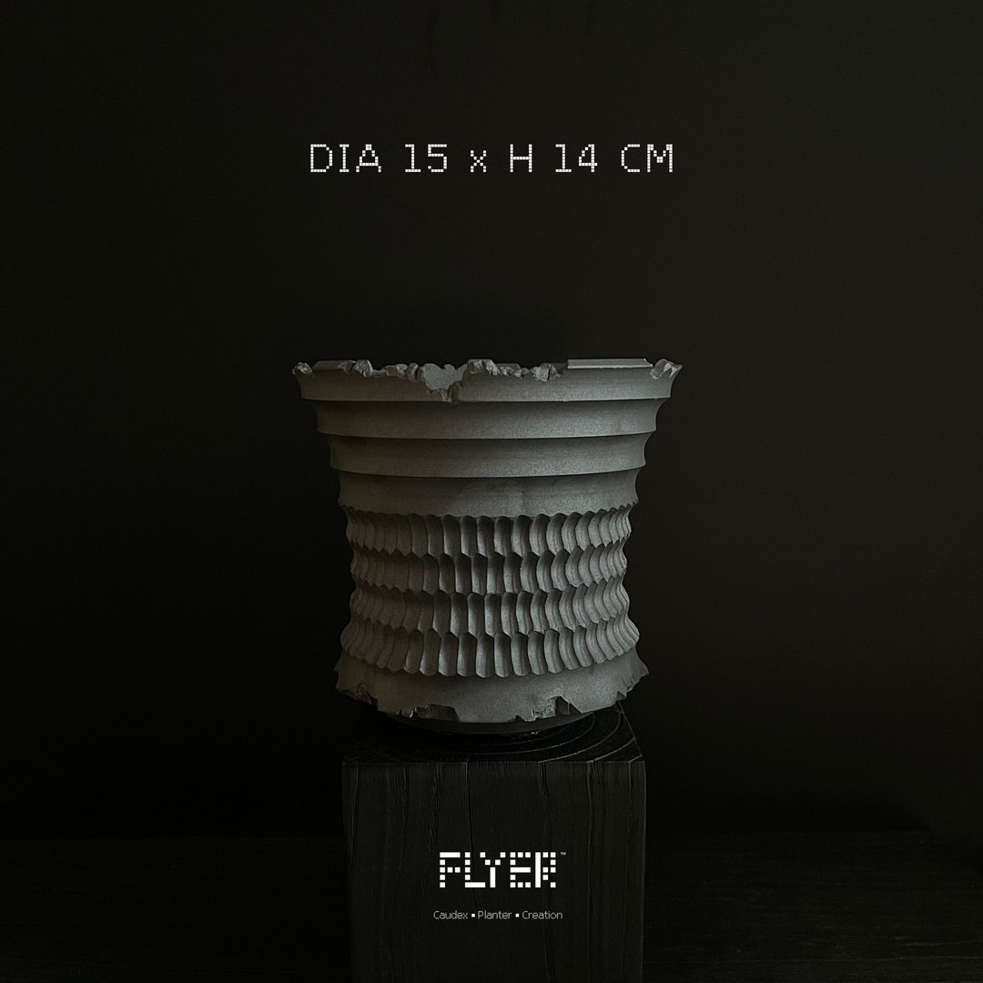 FLYER黑泥系列 块根多肉植物陶盆器 龙舌兰象牙宫盆器 - 花瓶/陶器 - 陶 