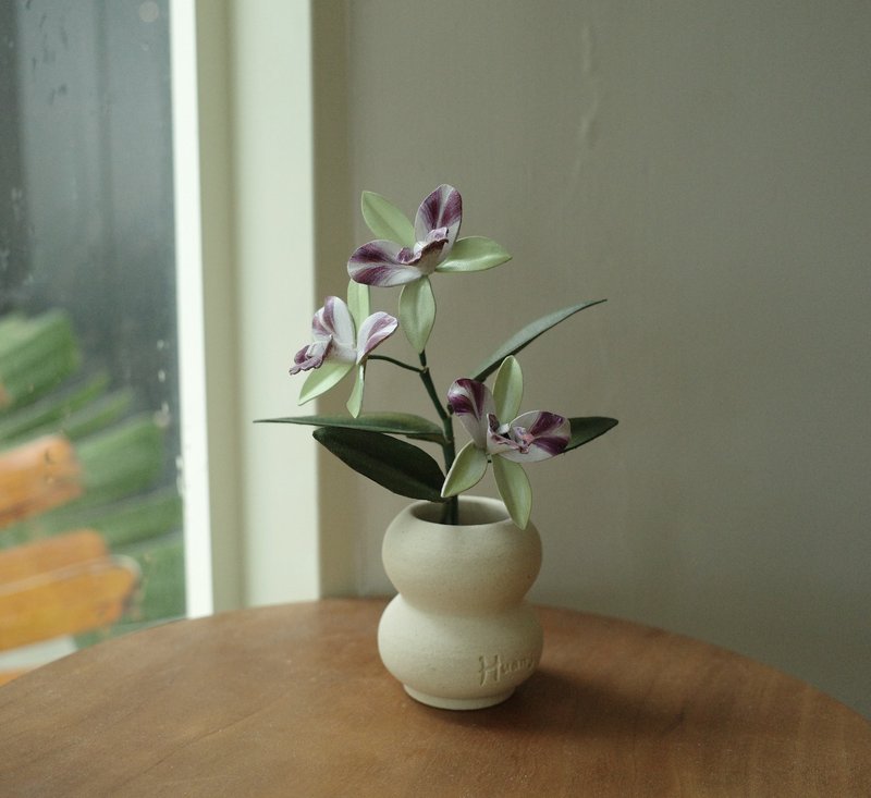 绝版品 泰国宝贝嘉德丽亚兰 Cattleya Thailand Baby 皮革兰花 - 植栽/盆栽 - 真皮 
