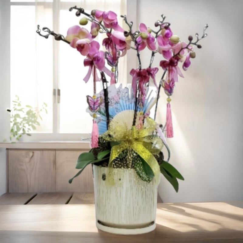 格兰花店 - 红运当头 蝴蝶兰5棵 (NY19OR-02) - 植栽/盆栽 - 植物．花 