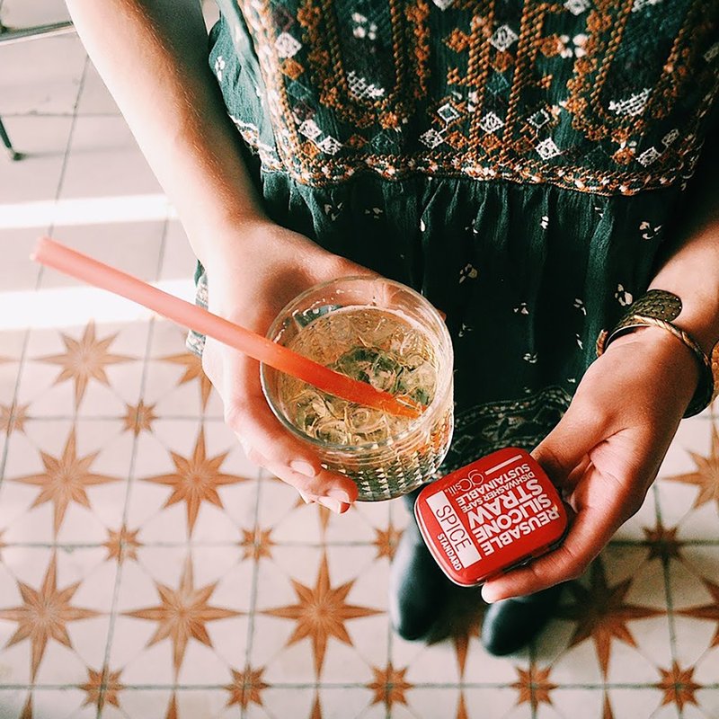 20cm吸管随行口袋组【4款】-美国GoSili - 环保吸管 - 硅胶 红色