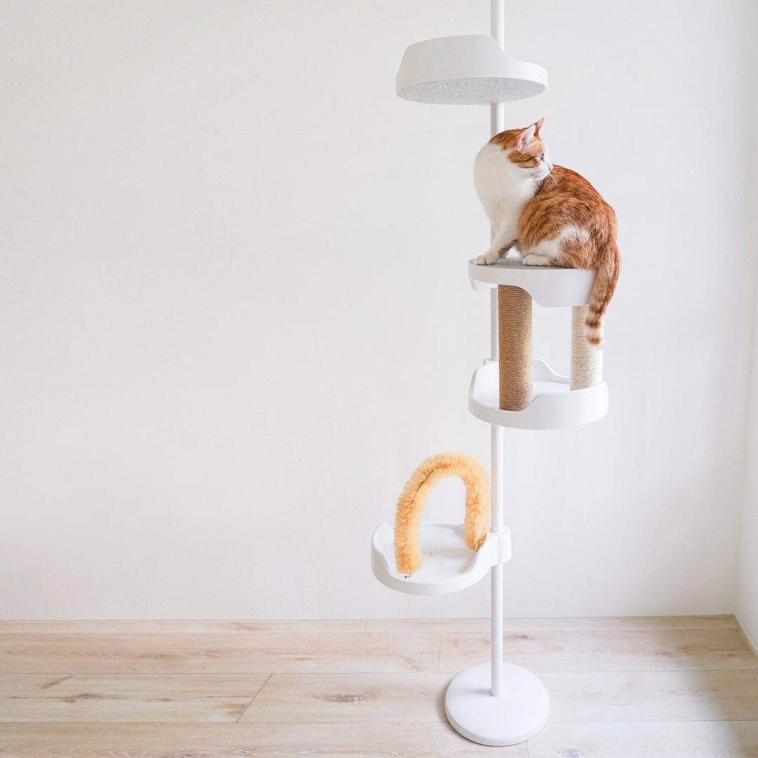 【限量商品】抱抱猫跳台-猫抓款 | 顶天立地 | 极稳耐重 - 抓板/跳台 - 其他材质 白色