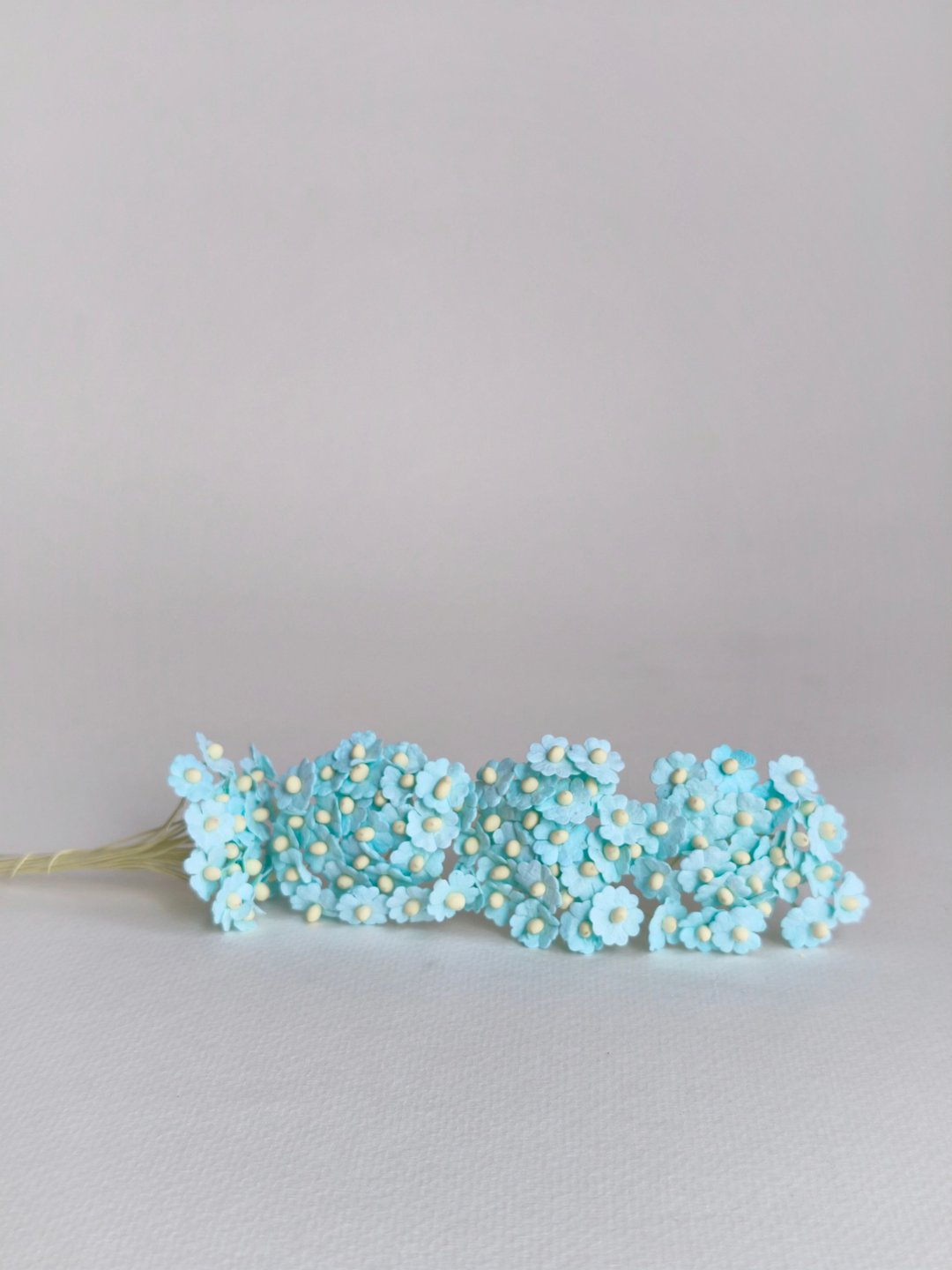 纸花，用品，100 件。加拿大海葵，尺寸 1.0 厘米，蓝天色 - 其他 - 纸 蓝色