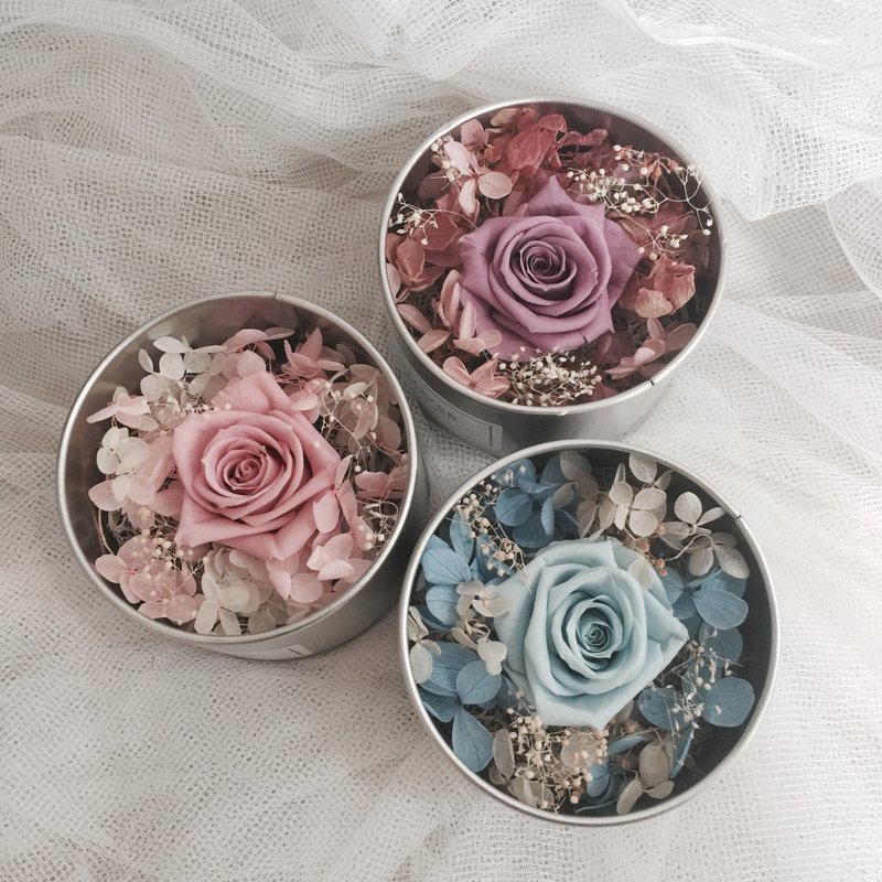 时光圆舞曲 永生花礼盒 - 植栽/盆栽 - 植物．花 