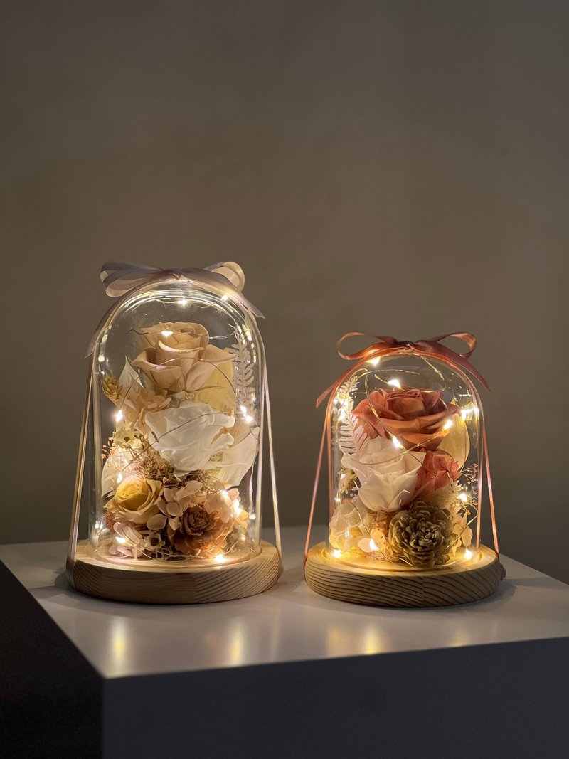 永生玫瑰花有灯钟罩小夜灯 - 干燥花/捧花 - 植物．花 多色