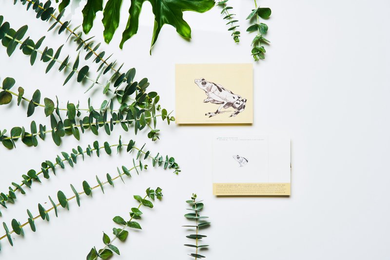 巴拿马金蛙, 濒危物种:明信片小卡/ 一卡一捐 - 卡片/明信片 - 纸 黄色