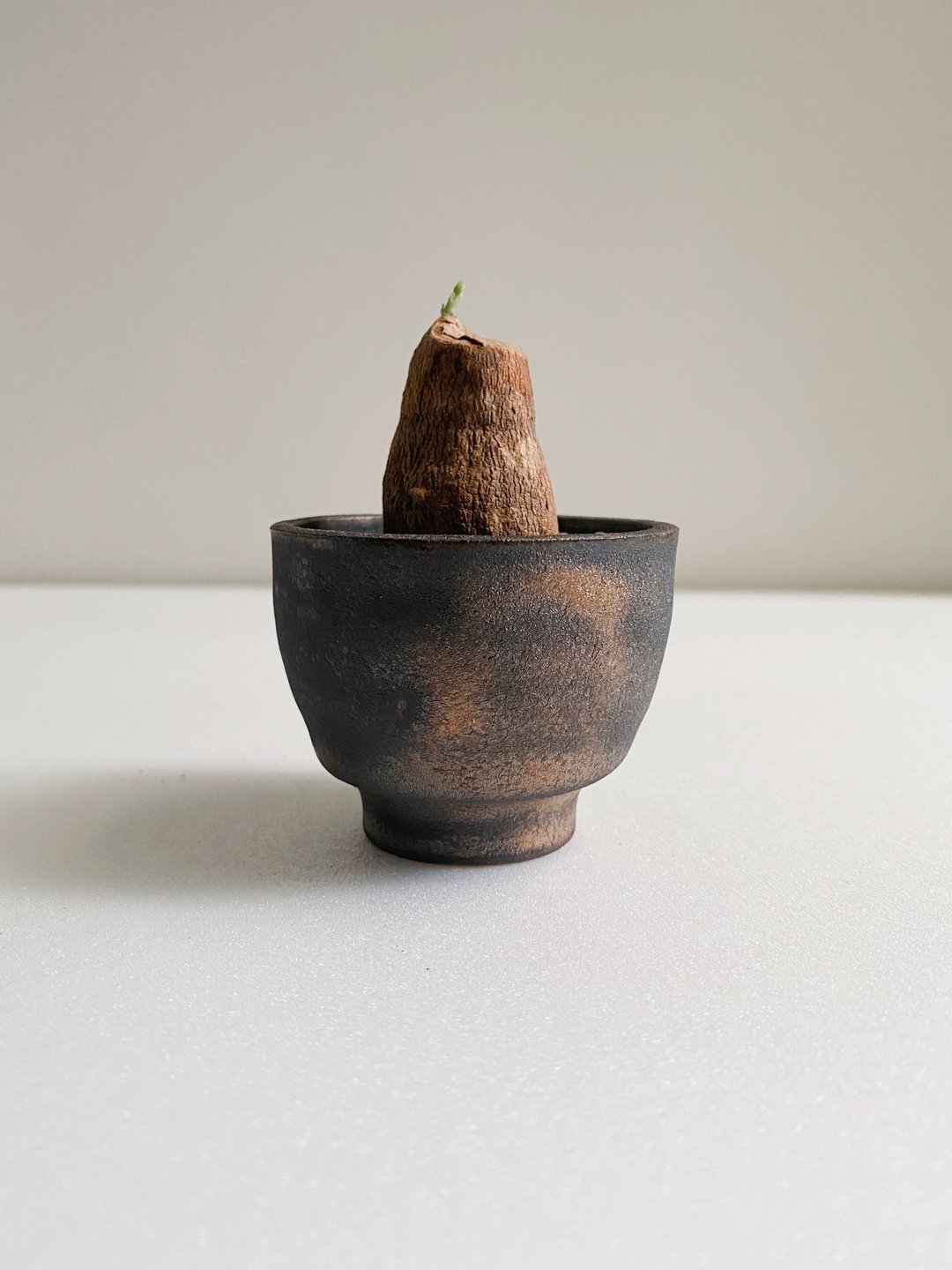 奇形怪状山乌龟与黑金手作陶 - 植栽/盆栽 - 陶 金色