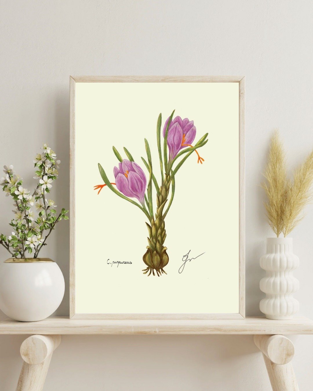 藏红花植物画 手绘春日花卉挂画 - 电子手绘真人画像/绘画/插画 - 其他材质 