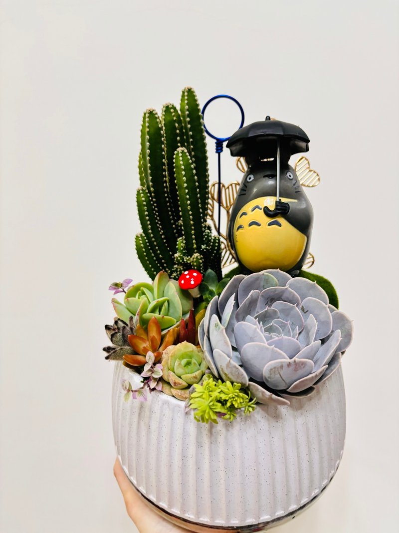 【体验活动】Vita Design实体多肉组盆课程-造景进阶送礼盆-小 - 植栽 - 水泥 