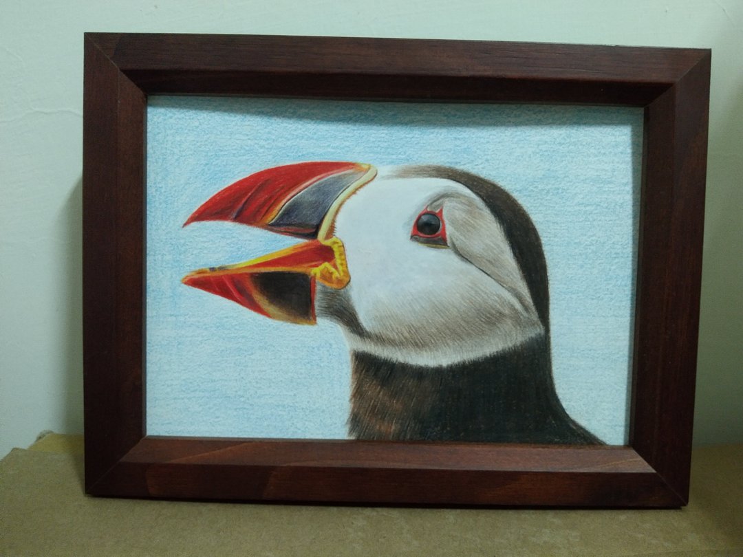 摆设 / 海鹦鹉 / 色铅笔画 / 原稿 / 含框 - 海报/装饰画/版画 - 纸 